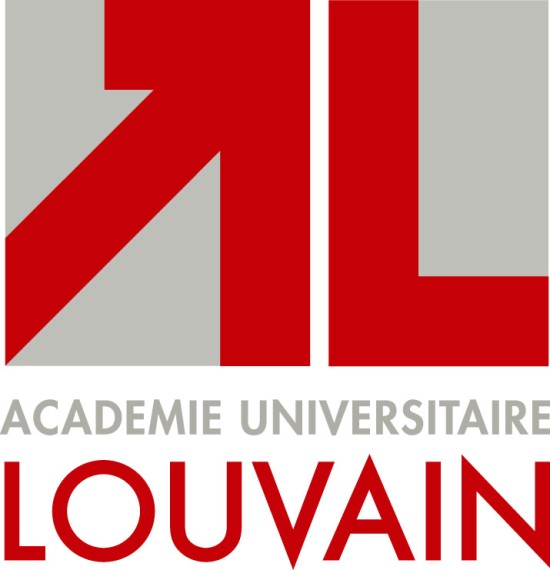 Développement local, acteurs et action collective : les minorités issues de l'immigration et les dispositifs de revitalisation urbaine dans la commune bruxelloise de Molenbeek-Saint-Jean 