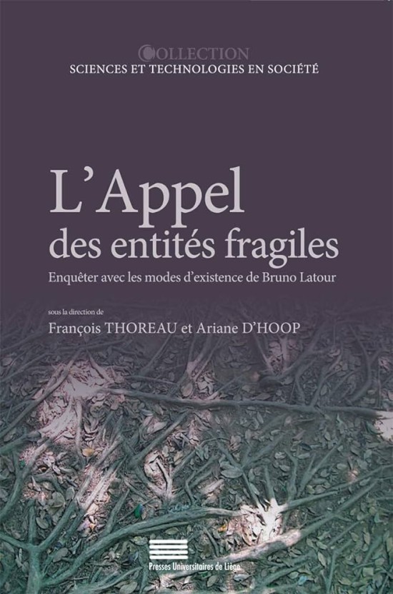 Faire tenir debout. Exigences plurielles d'un projet d'architecture 